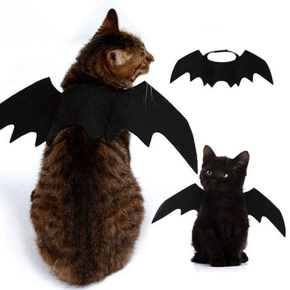 Ailes de Chauve-Souris Halloween pour Chat – Costume Félin en Feutrine Noire - Furlo