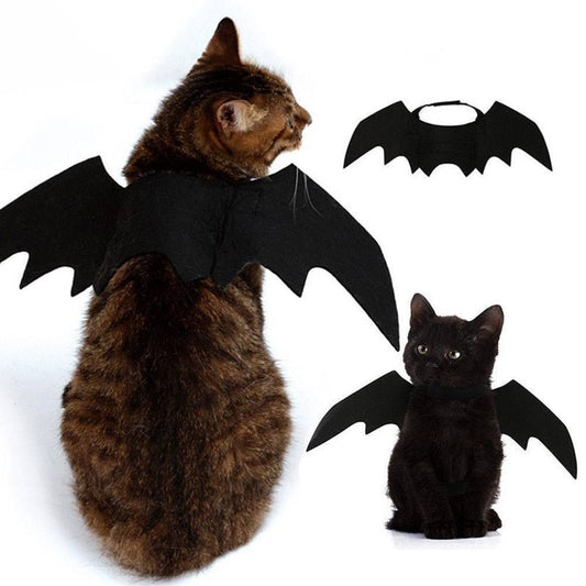 Ailes de Chauve-Souris Halloween pour Chat – Costume Félin en Feutrine Noire - Furlo