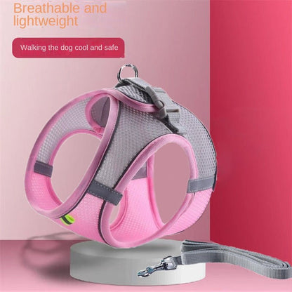 Harnais Maille Réfléchissant & Respirant pour Chat et Chien – Avec Laisse 150 cm - Furlo