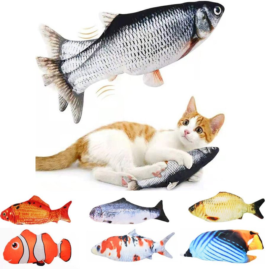 Poisson Électrique Interactif - Furlo