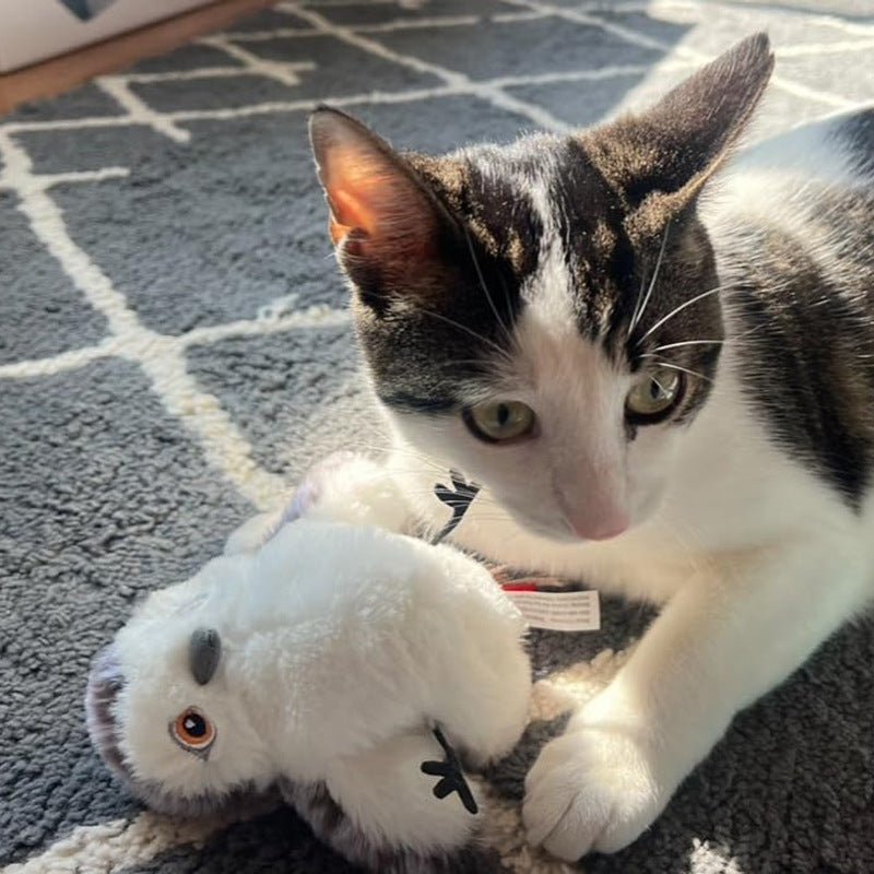Oiseau Rechargeable USB pour Chat – Jouet Interactif Sonore à Activation Tactile | Catnip - Furlo