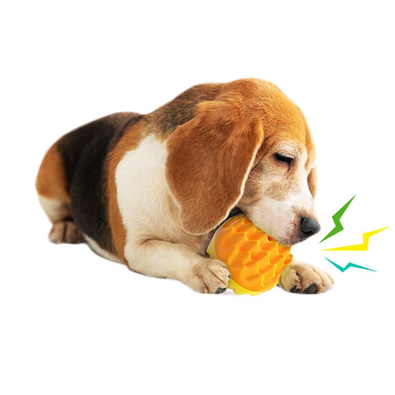 Balle Molaire Sonore en ABS pour Chien – Brosse à Dents & Entraînement Outdoor - Furlo