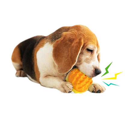 Balle Molaire Sonore en ABS pour Chien – Brosse à Dents & Entraînement Outdoor - Furlo