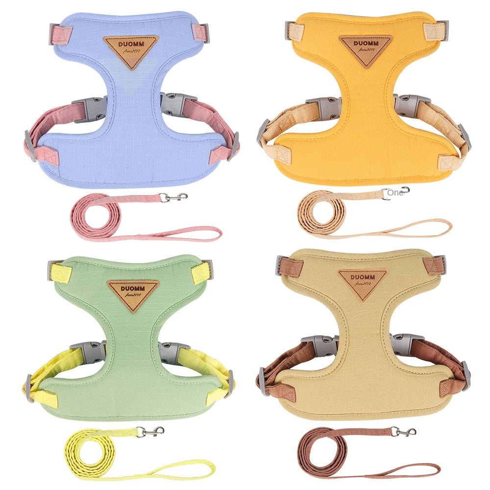 Harnais Maille Anti-Fugue pour Chat – Laisse Outdoor Ajustable | 4 Coloris, Tailles XS à L - Furlo