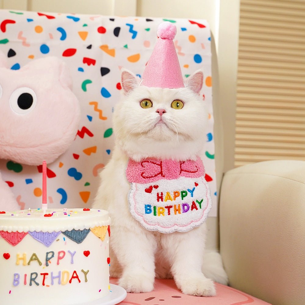 Kit Anniversaire pour Chat & Chien - Furlo
