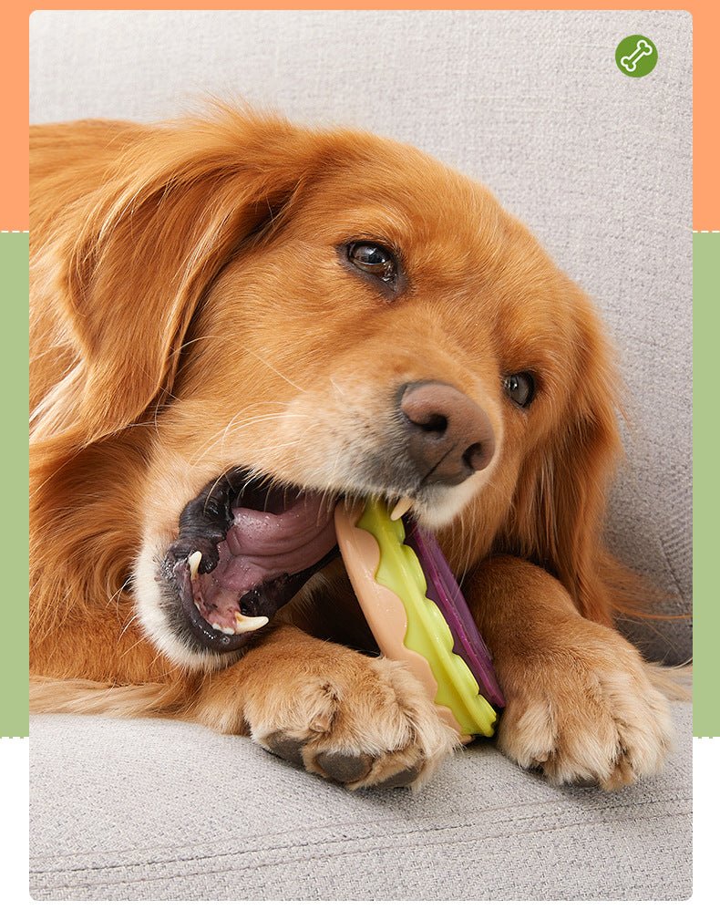 Donut Mordant en TPR pour Chien – Jouet Molaire Résistant - Furlo