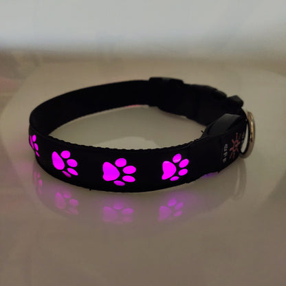 Collier LED Rechargeable pour Chien – Lumineux, Anti-Accident, Anti-Perte - FurloF94B3497AF804315A70C6AE9A34F2BD8