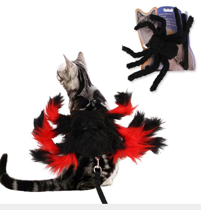 Harnais Araignée Halloween pour Chat avec Laisse – Déguisement Félin - Furlo