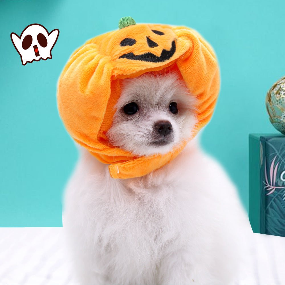 Chapeau Citrouille Halloween pour Chat & Chien – Décoration Fête | Tailles S & L - Furlo