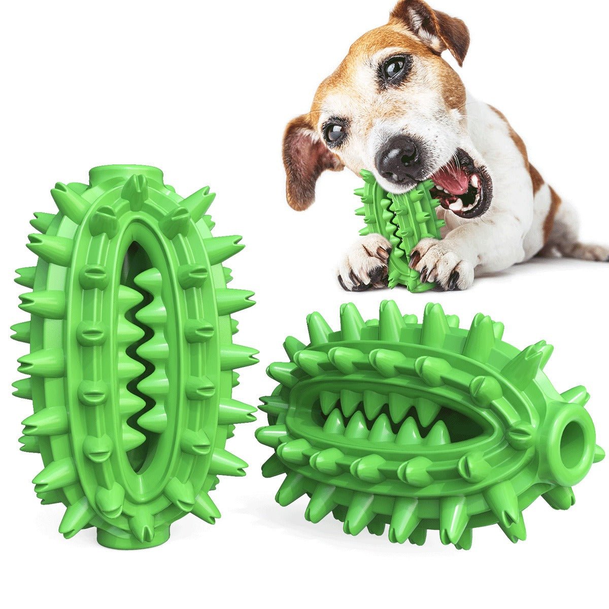 Jouet Molaire en TPR pour Chien – 6 Styles Nettoyant les Dents - Furlo