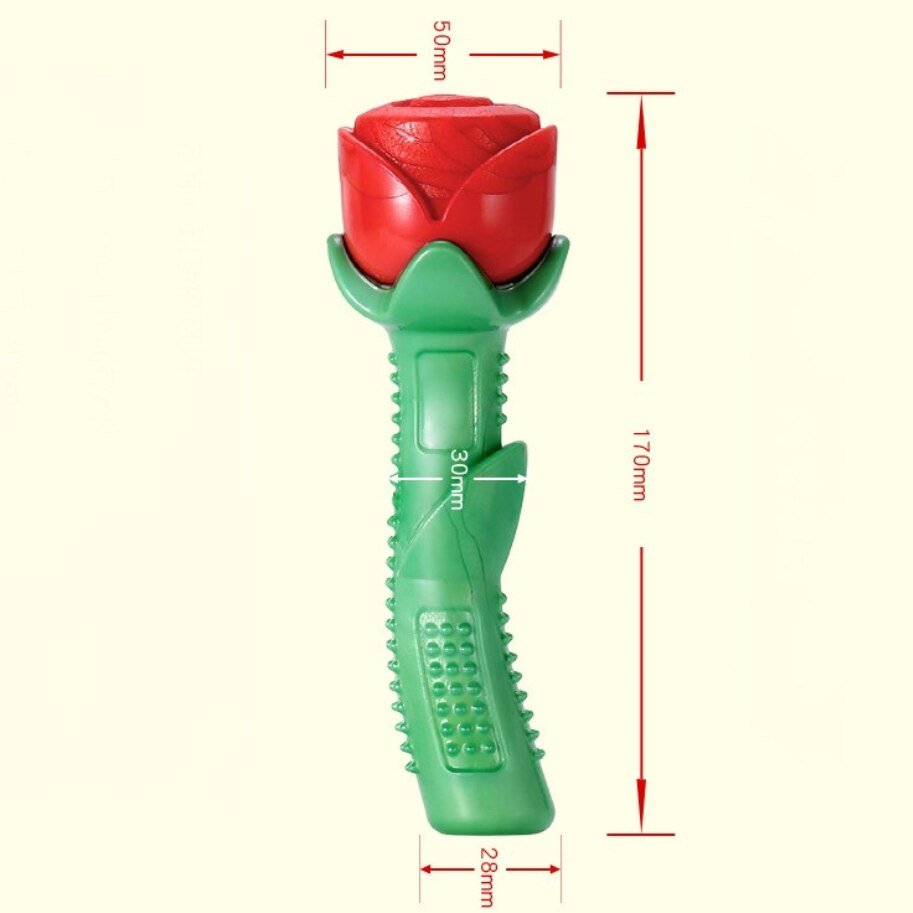 Bâtonnet Dentaire Fleur en TPE pour Chien – Nettoyant & Massant les Gencives - Furlo