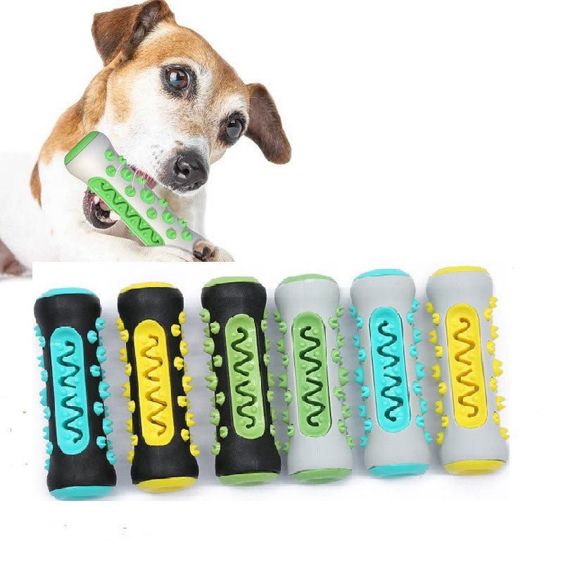 Jouet Molaire en TPR pour Chien – 6 Styles Nettoyant les Dents - Furlo