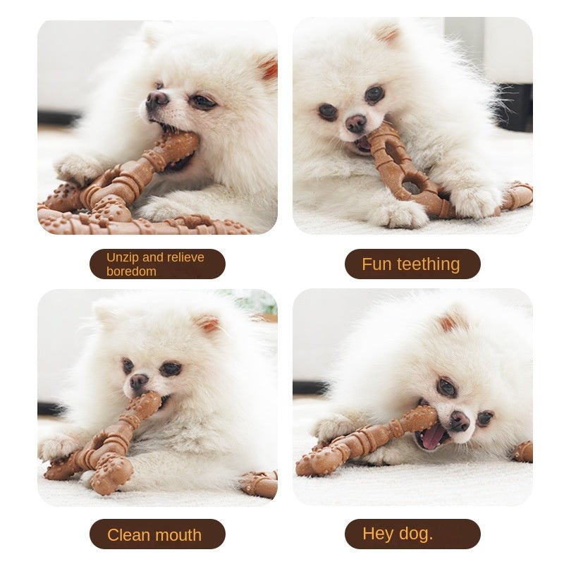 Jouet à mâcher en forme d'os pour chien — Nettoyage des dents & Divertissement - Furlo