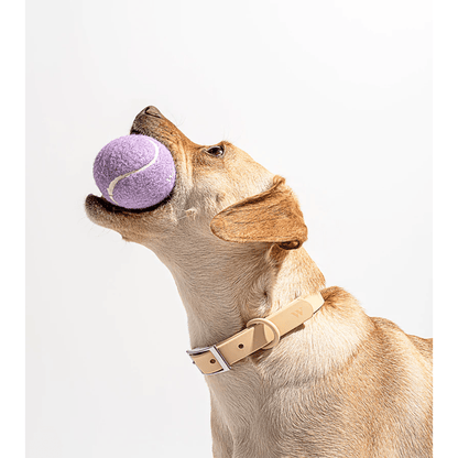 Jouet Balle Tennis en TPR pour Chien – À Lancer & Mâcher | Violet - Furlo