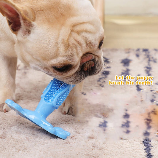 Brosse à Dents Molaire en Caoutchouc Alimentaire pour Chien – 4 Coloris M & L - Furlo