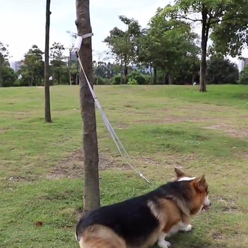 Laisse Réfléchissante Anti-Fugue pour Chien - Furlo