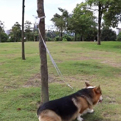 Laisse Réfléchissante Anti-Fugue pour Chien - Furlo