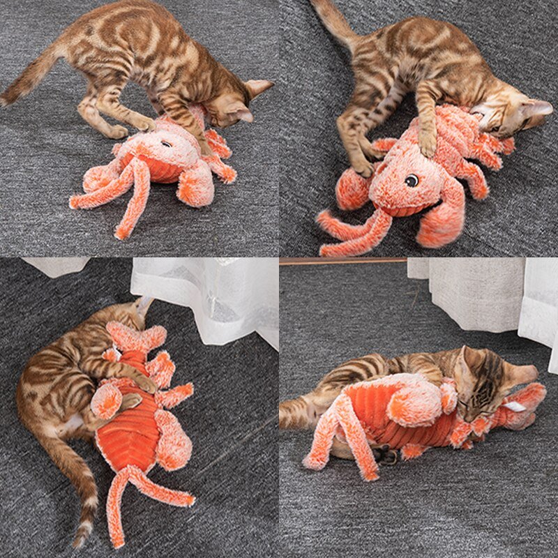 Homard Sauteur Rechargeable USB pour Chat – Jouet Interactif avec Herbe à Chat - Furlo