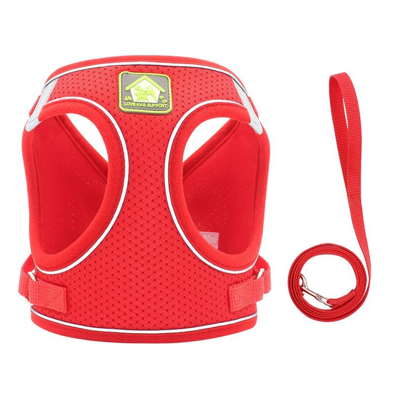 Set Harnais Vest Maille Réfléchissant + Laisse pour Chat et Chiot – XS à XL - Furlo