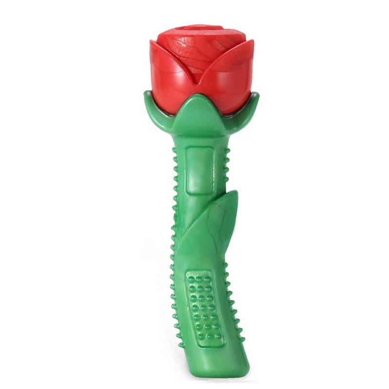 Bâtonnet Dentaire Fleur en TPE pour Chien – Nettoyant & Massant les Gencives - Furlo