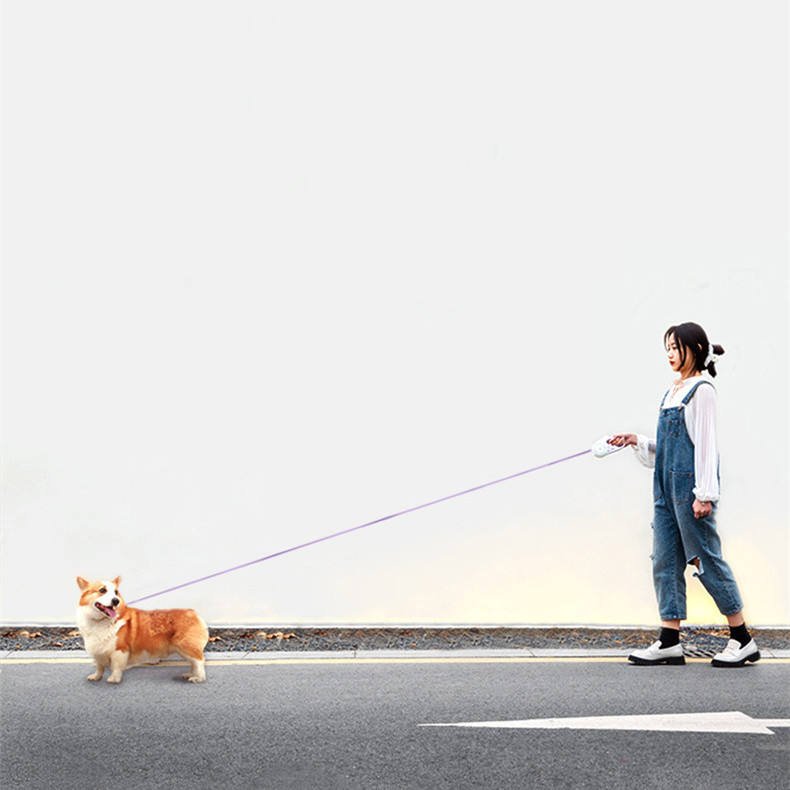 Laisse Rétractable Lumineuse pour Chien - Furlo