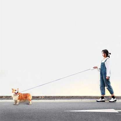 Laisse Rétractable Lumineuse pour Chien - Furlo