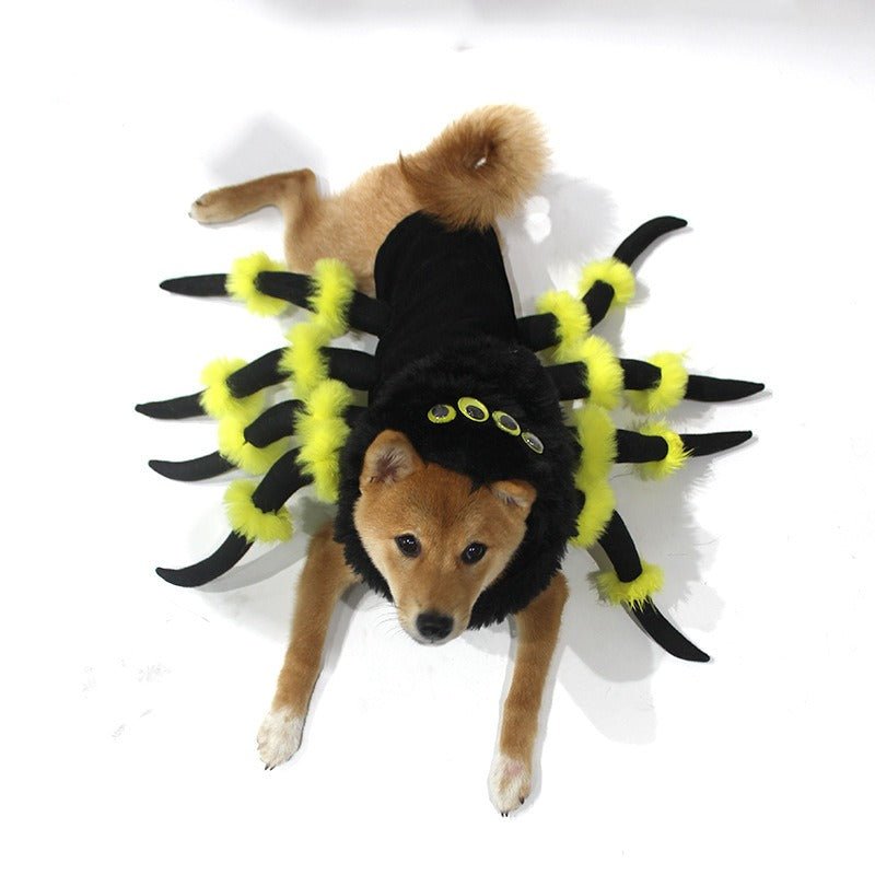 Déguisement Araignée Halloween pour Chien et Chat – Cosplay Rigolo S à 3XL - Furlo