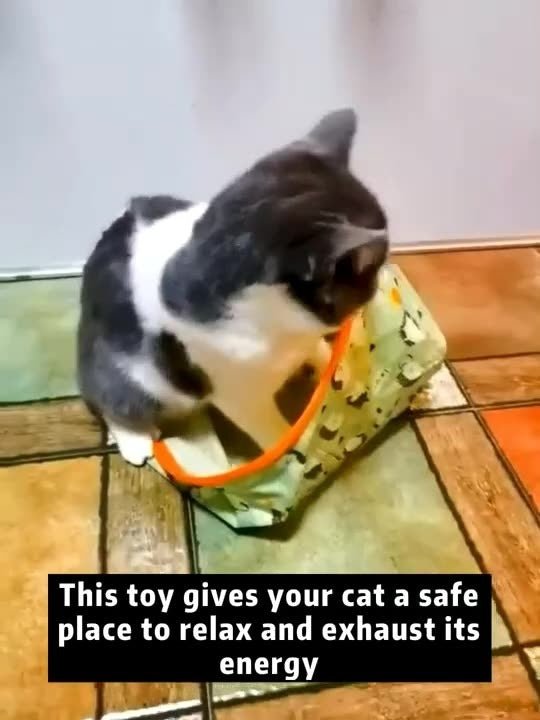 Tunnel Sac de Jeu pour Chat – 3 Couches avec Papier Froissant & Trous d’Exploration - Furlo
