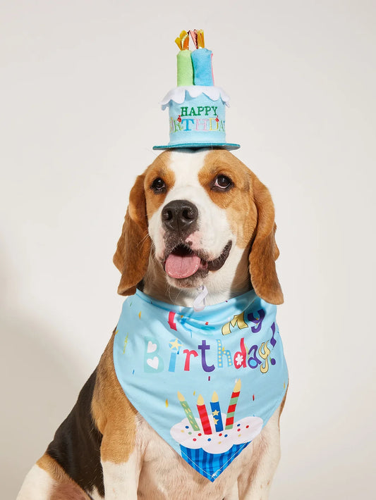Kit Anniversaire pour Chien & Chat – Chapeau, Bandana, Bavoir & Banderole Fête - Furlo
