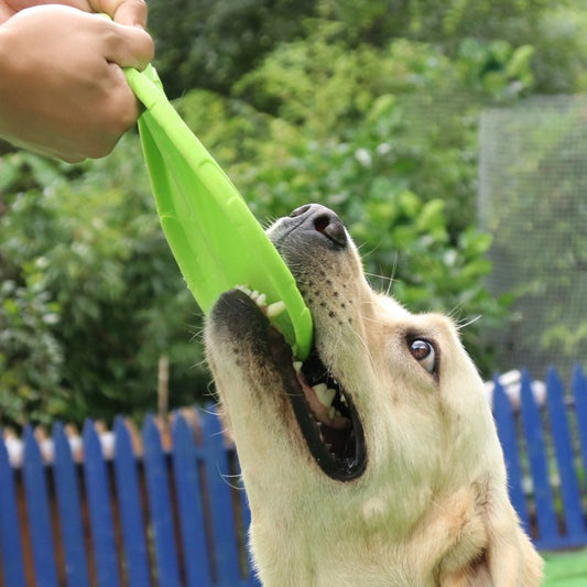 Frisbee Souple pour Chien — Jouet Entraînement TPR Flottant | Furlo - Furlo