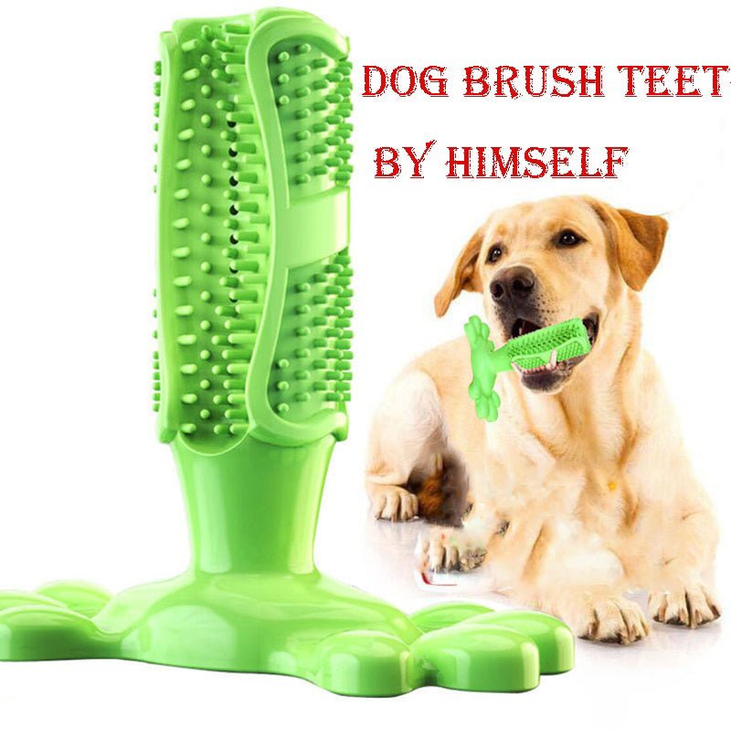 Brosse à Dents Molaire en Caoutchouc Alimentaire pour Chien – 4 Coloris M & L - Furlo