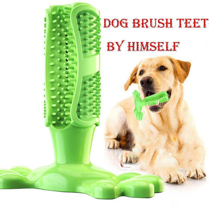 Brosse à Dents Molaire en Caoutchouc Alimentaire pour Chien – 4 Coloris M & L - Furlo