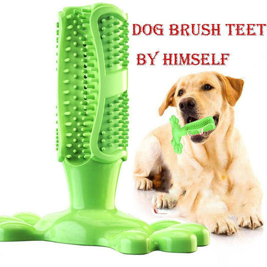 Brosse à Dents Molaire en Caoutchouc Alimentaire pour Chien – 4 Coloris M & L - Furlo