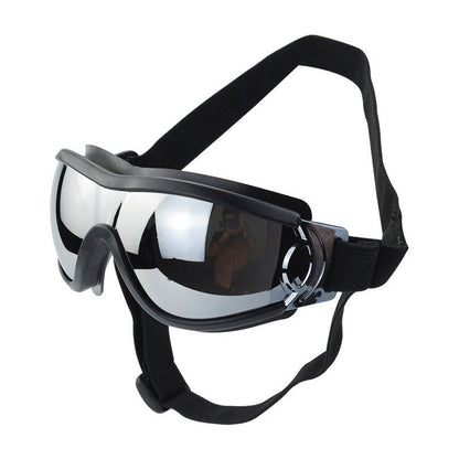 Lunettes de soleil pour chien & chat — Anti-vent & Protection UV - Furlo