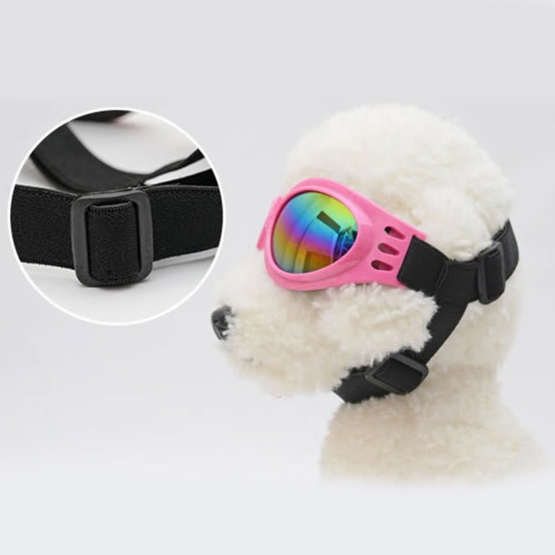 Lunettes de protection pliables pour chien – Soleil, vent & éclaboussures | 6 coloris - Furlo