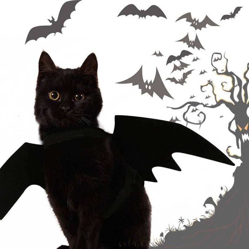 Ailes de Chauve-Souris Halloween pour Chat – Costume Félin en Feutrine Noire - Furlo