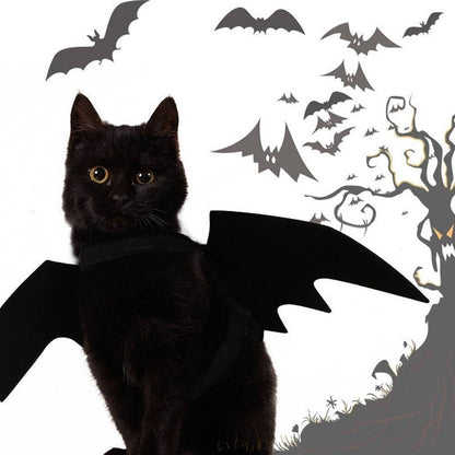 Ailes de Chauve-Souris Halloween pour Chat – Costume Félin en Feutrine Noire - Furlo