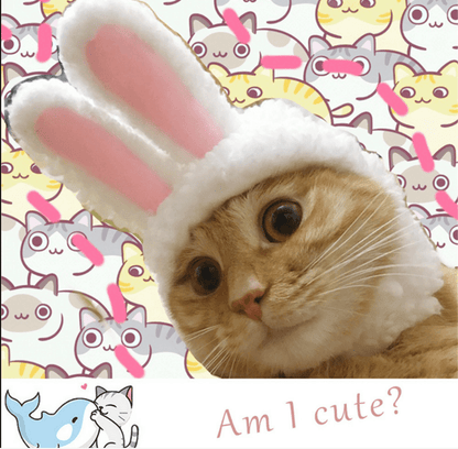 Chapeau Lapin de Pâques pour Chat et Petit Chien – Déguisement & Photo - Furlo