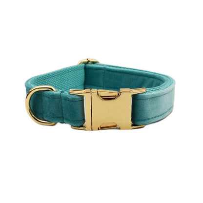 Collier velours pour chien réglable – coloris turquoise