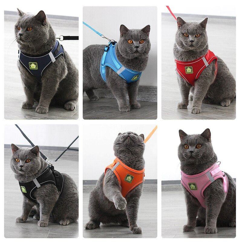 Set Harnais Vest Maille Réfléchissant + Laisse pour Chat et Chiot – XS à XL - Furlo