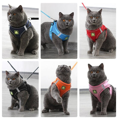 Set Harnais Vest Maille Réfléchissant + Laisse pour Chat et Chiot – XS à XL - Furlo