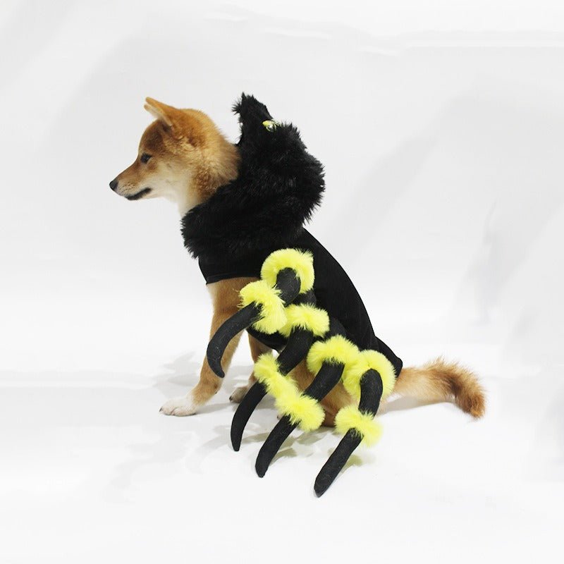 Déguisement Araignée Halloween pour Chien et Chat – Cosplay Rigolo S à 3XL - Furlo