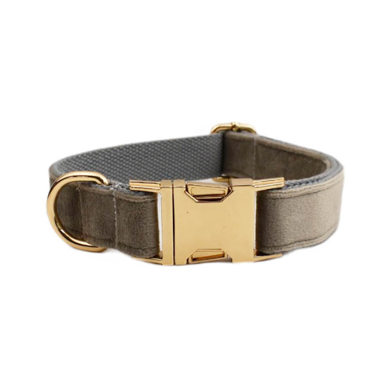 Collier velours pour chien réglable – coloris gris clair