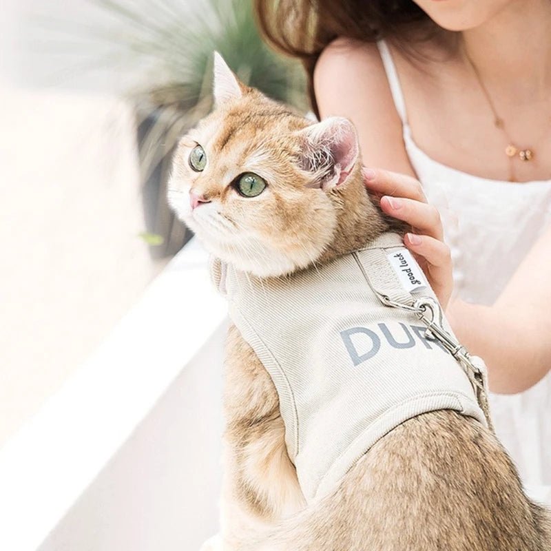 Harnais & Laisse Ajustable pour Chat & Lapin – Canvas Respirant | Tailles S à XL | 4 Coloris - Furlo