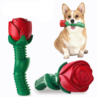 Bâtonnet Dentaire Fleur en TPE pour Chien – Nettoyant & Massant les Gencives - Furlo