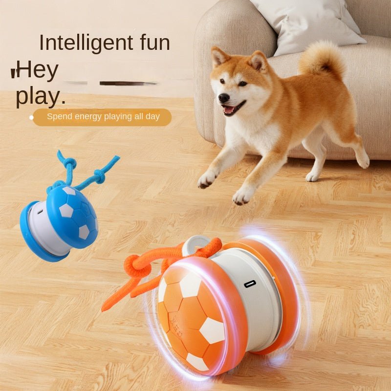 Balle Roulante Interactive pour Chien – Édition Officielle Coupe du Monde - Furlo