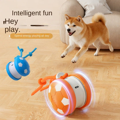 Balle Roulante Interactive pour Chien – Édition Officielle Coupe du Monde - Furlo