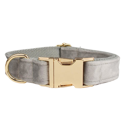 Collier velours pour chien réglable – coloris gris argenté