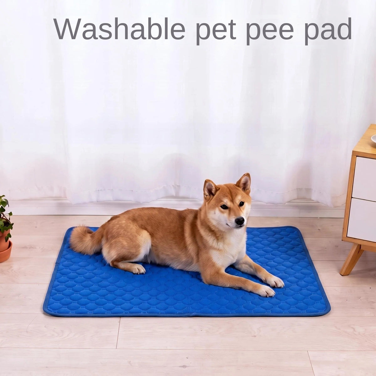 Tapis Absorbant Lavable pour Chien, Chat & Lapin – Alèse Réutilisable