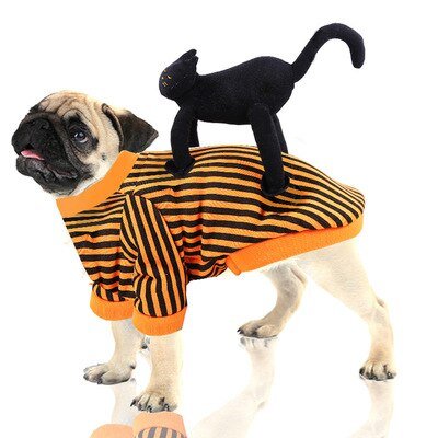Costume Halloween Ange pour Chien et Chat – 14 Coloris XS à XXL - Furlo